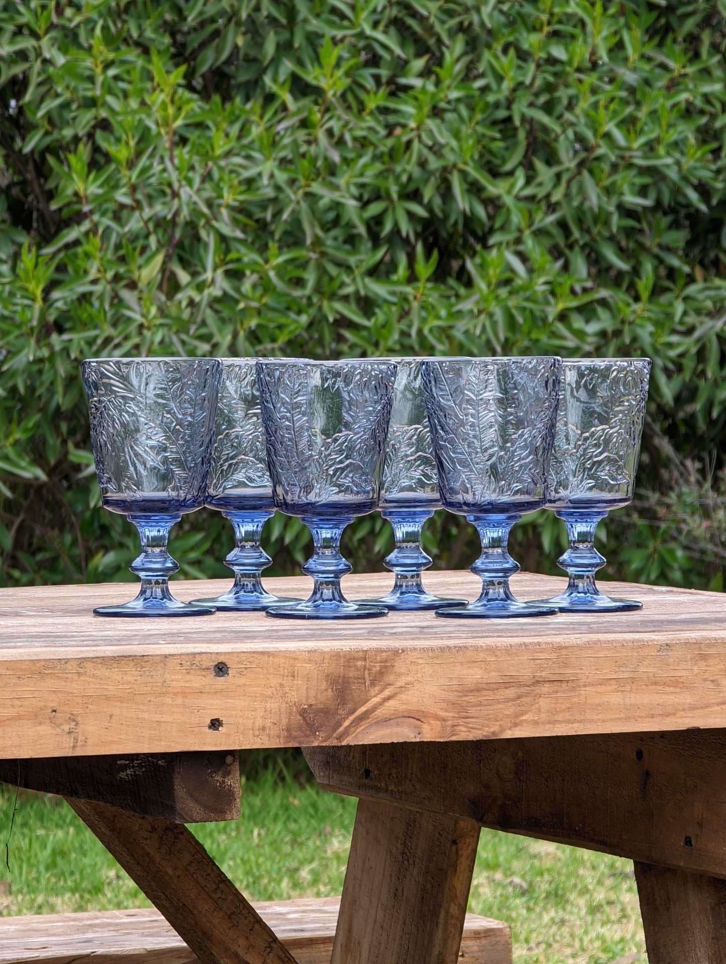 Set 6 Copas Monstera Azul