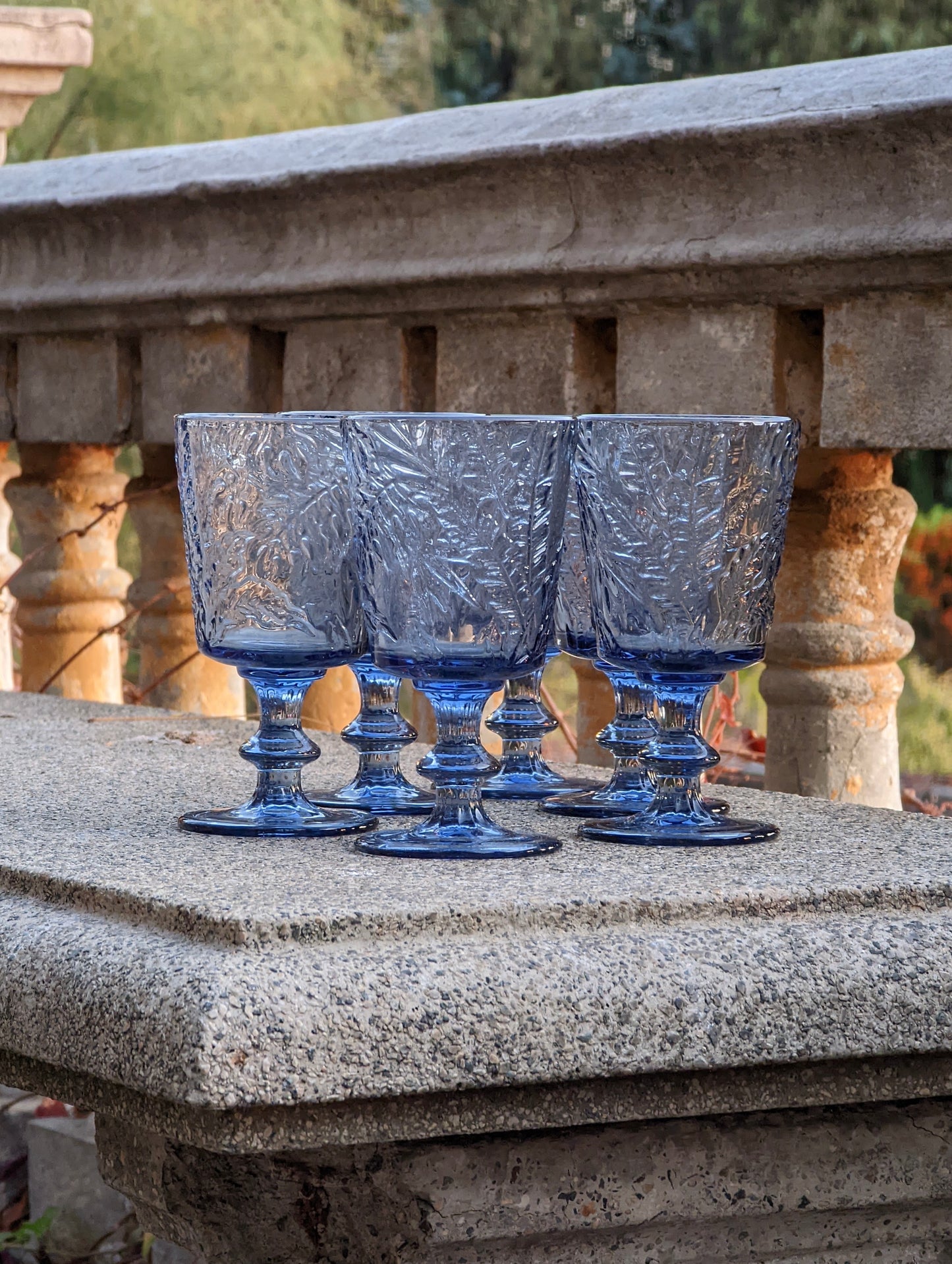 Set 6 Copas Monstera Azul