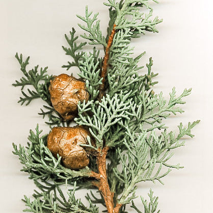 Home Spray Cipres Francés - 250 ml